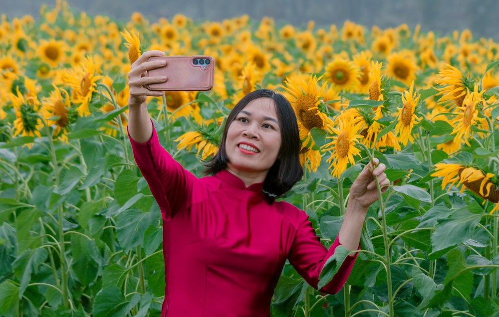 Theo chủ vườn, dù mới triển khai nhưng cây sinh trưởng tốt, cho hoa to, đều và màu sắc bắt mắt, nhanh chóng thu hút sự chú ý.