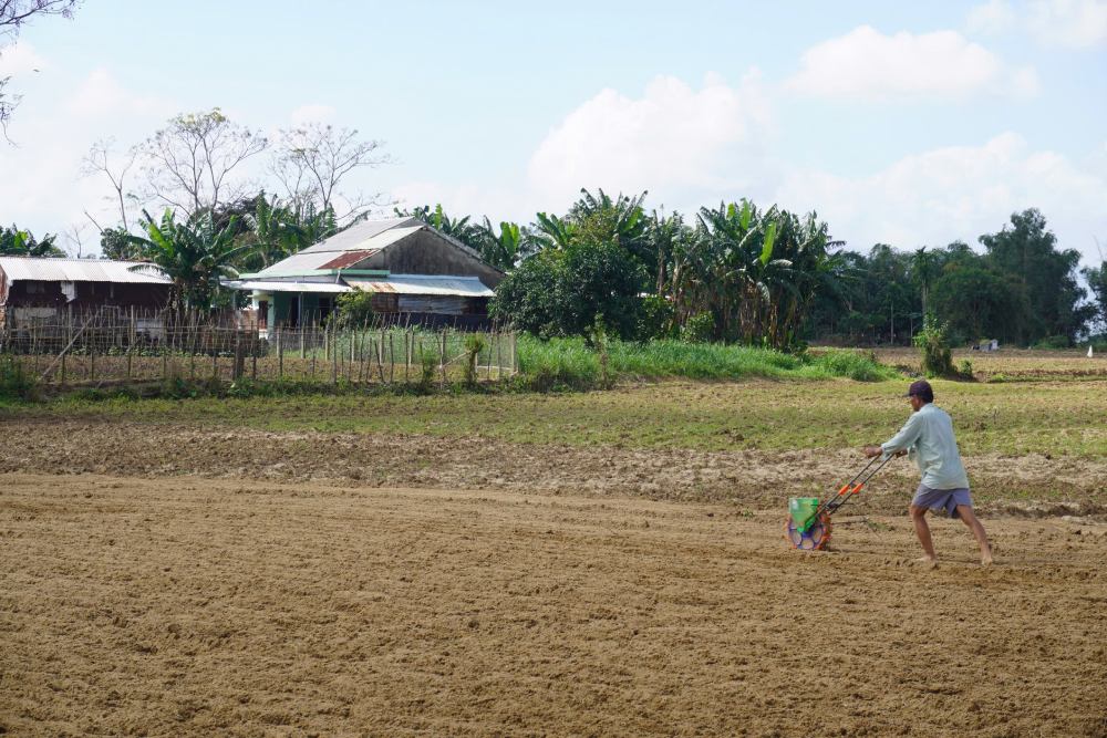 Legal regulations clearly state the conditions for land users of perennial crops to exercise the right to transfer when the term of use expires. Photo: Tran Thi
