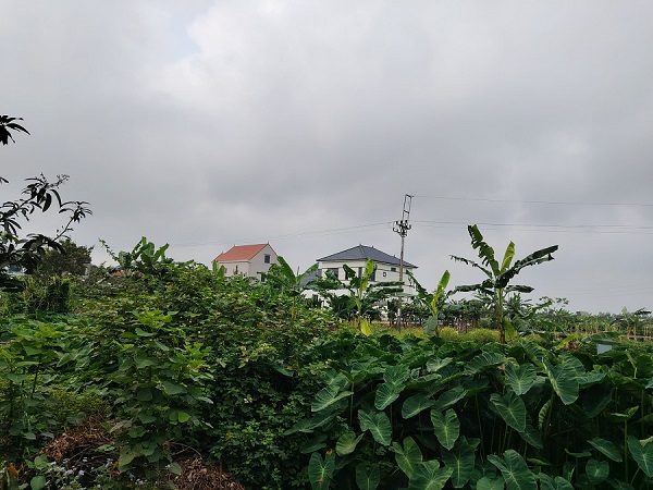 Many people wish to convert agricultural land to residential land. Photo: Xuyen Dong