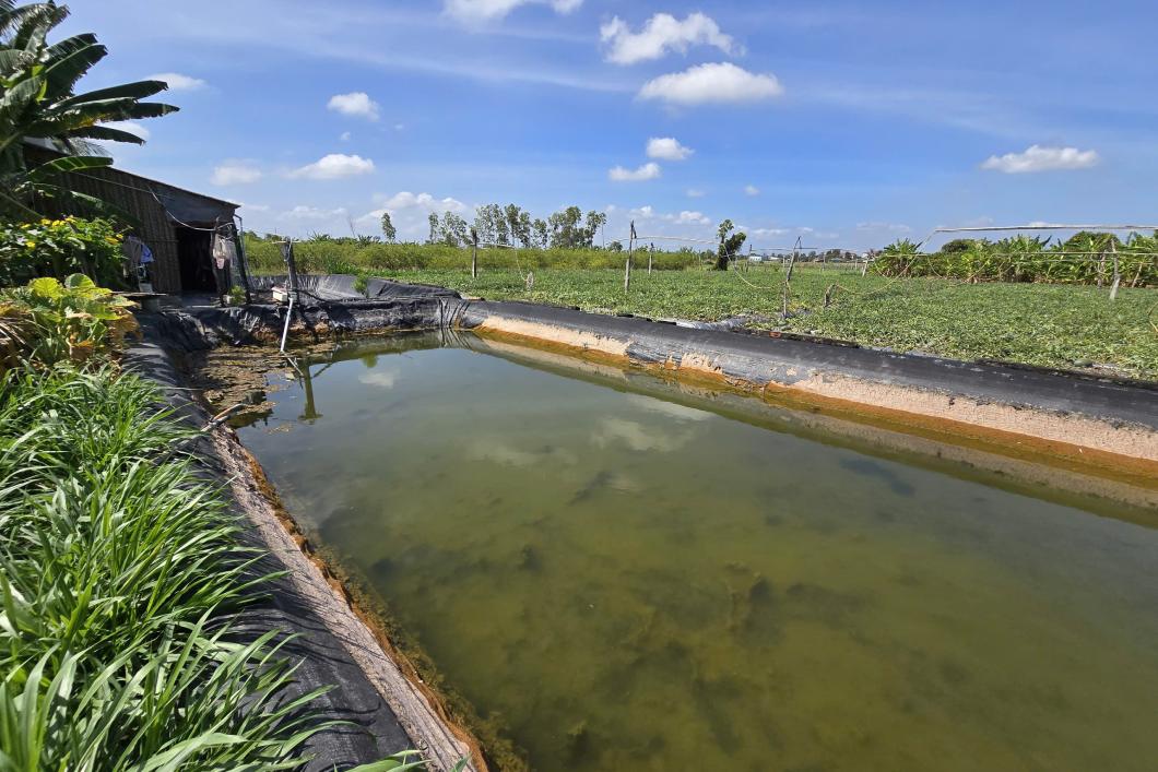 Water resources in the Mekong Delta under increasing pressure from climate change