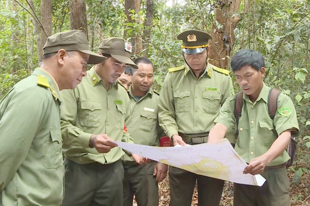 ラムドン省で割り当てられた森林と地図を実地で照合する森林管理委員会に参加する少数民族。写真:TTXVN