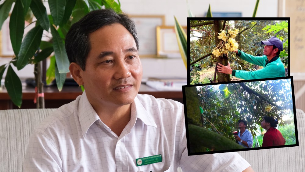 Fluctuating weather, experts recommend gardeners to respond to saltwater intrusion