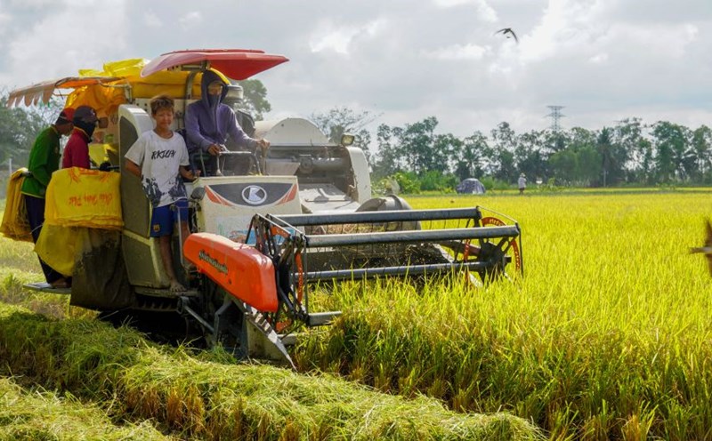Prices of materials and fuels fluctuate, experts offer solutions to build sustainable agriculture