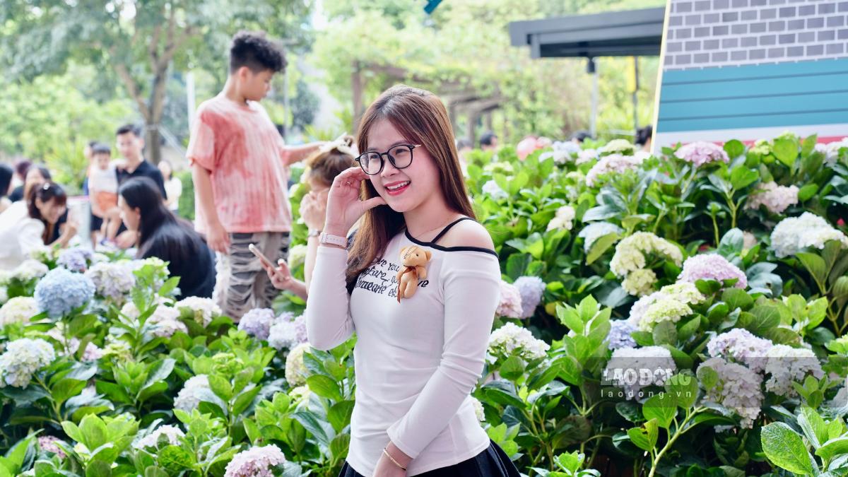 Hơn 1.000 gốc hoa cẩm tú cầu được sắp đặt tinh tế, đầy sắc màu.