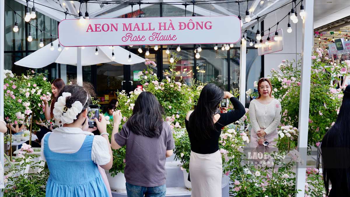 Khu vực nhà hoa hồng Rose House là điểm đến yêu thích của các tín đồ chụp ảnh.