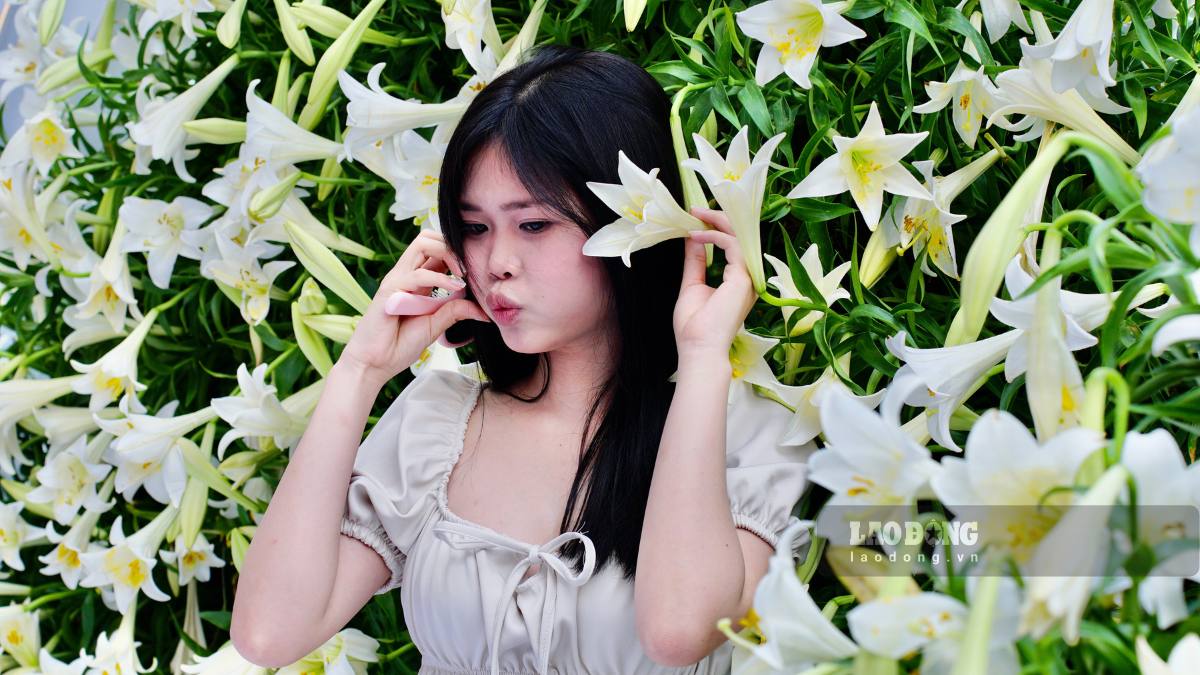 Sắc trắng tinh khôi của hoa loa kèn tháng 3 trở thành bối cảnh check-in lý tưởng, thu hút các bạn trẻ đến trải nghiệm.