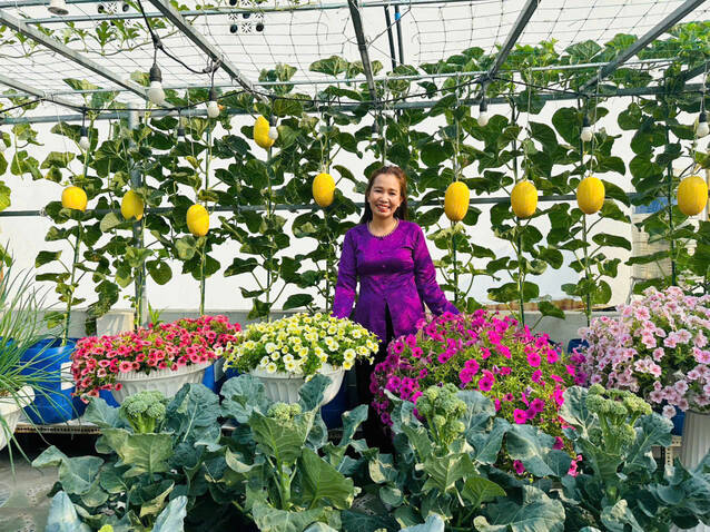 Ms. Huong shares her passion and secrets for growing cantaloupe effectively. Photo: Character provided