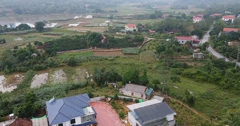 Quy định xử phạt hành vi bỏ hoang đất trồng cây lâu năm