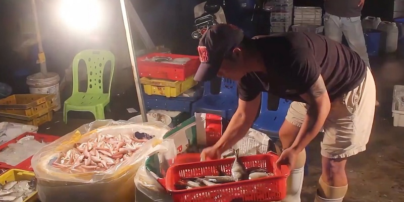 Livelihood activities at Tho Quang Fishing Port, Da Nang City are still bustling every dawn. Photo: Thuc Han