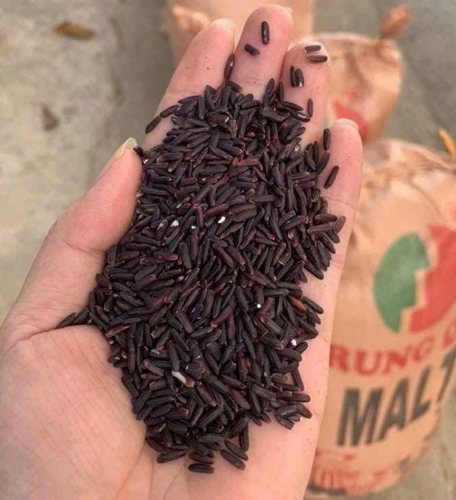 Rice, especially brown rice, when combined with ginger, can support liver detoxification if used properly. Photo: Quang Minh.