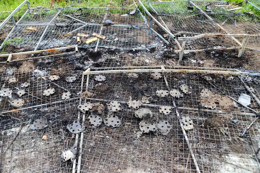 Việc linh vật bị cháy khiến nhiều người tiếc nuối.