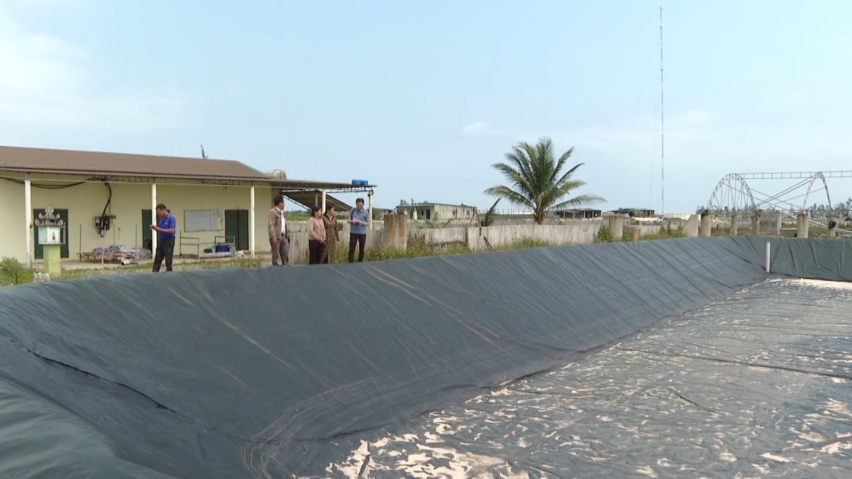Many shrimp farming households in the coastal sandy area of Ninh Chau commune are in debt due to losses. Photo: Thanh Trung