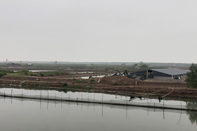 Ninh Binh Flexible Power Plant project is planned for investment and construction in Kim Dong commune. Photo: Nguyen Truong