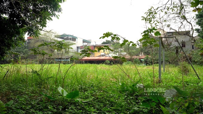 Sân bóng cỏ mọc cao 