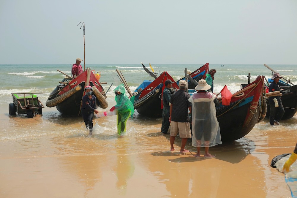 Tàu thuyền chở đầy ắp sứa biển của ngư dân liên tục cập bờ. Ảnh: Hưng Thơ