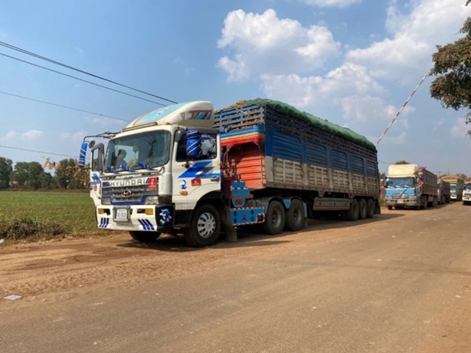 政府常任委員会は、食品安全に関する政令46号の実施をさらに延期することで合意しました。写真:VGP