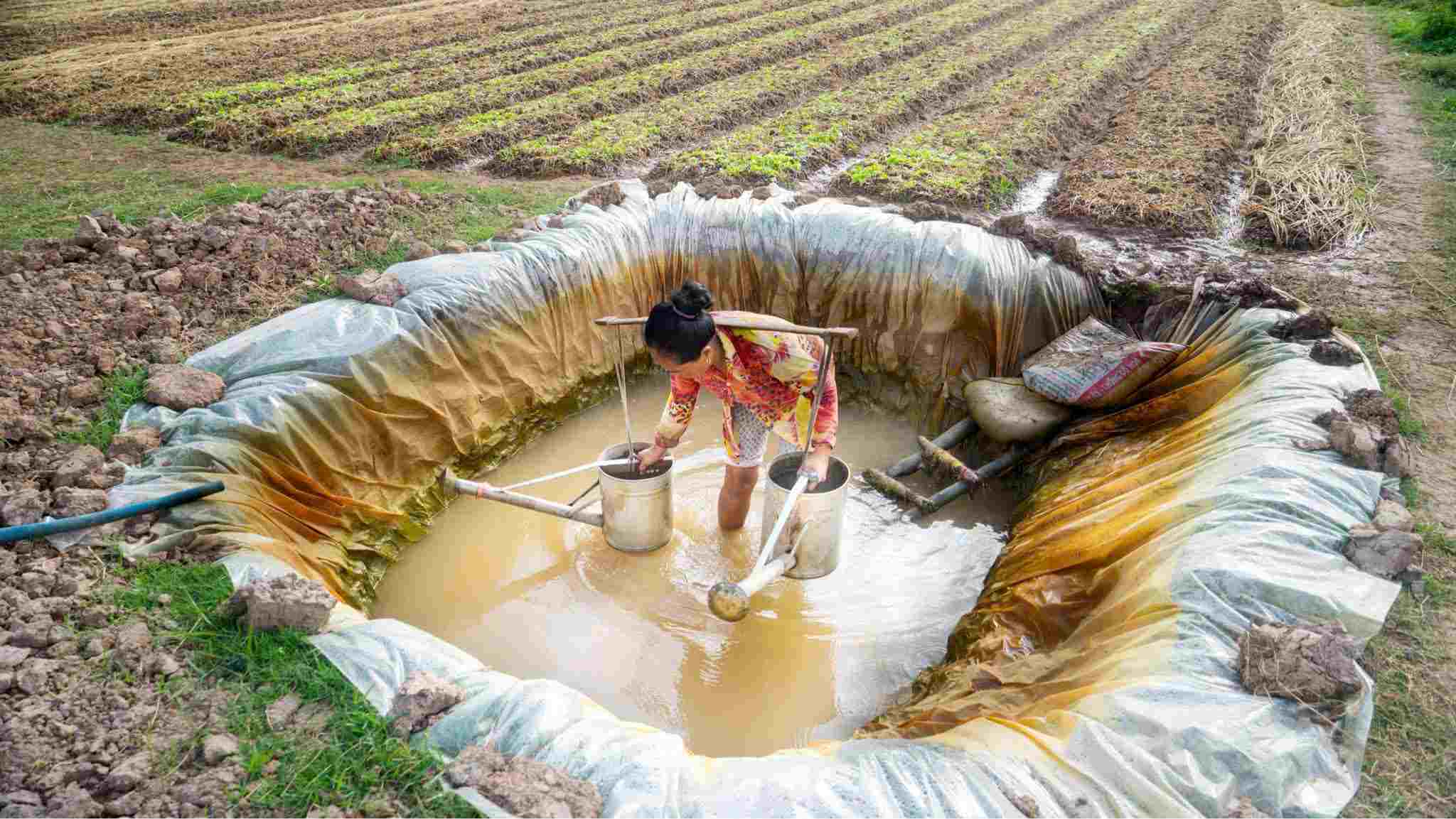 People in Vinh Chau (Can Tho City) dig holes and line with tarpaulins to store water for production. Photo: Phuong Anh