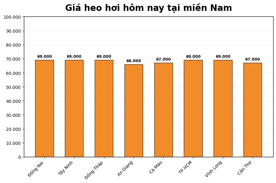 Giá heo hơi hôm nay 24.3 tại khu vực miền Nam. Đồ họa: Thùy Linh