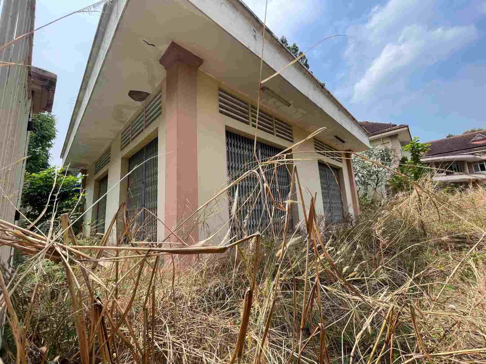 Các khu nhà bị cỏ cây che lấp. Ảnh: Đình Trọng