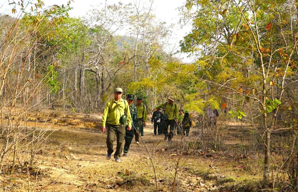 Lực lượng kiểm lâm đi tuần tra trong rừng. Ảnh: Duy Tuấn 