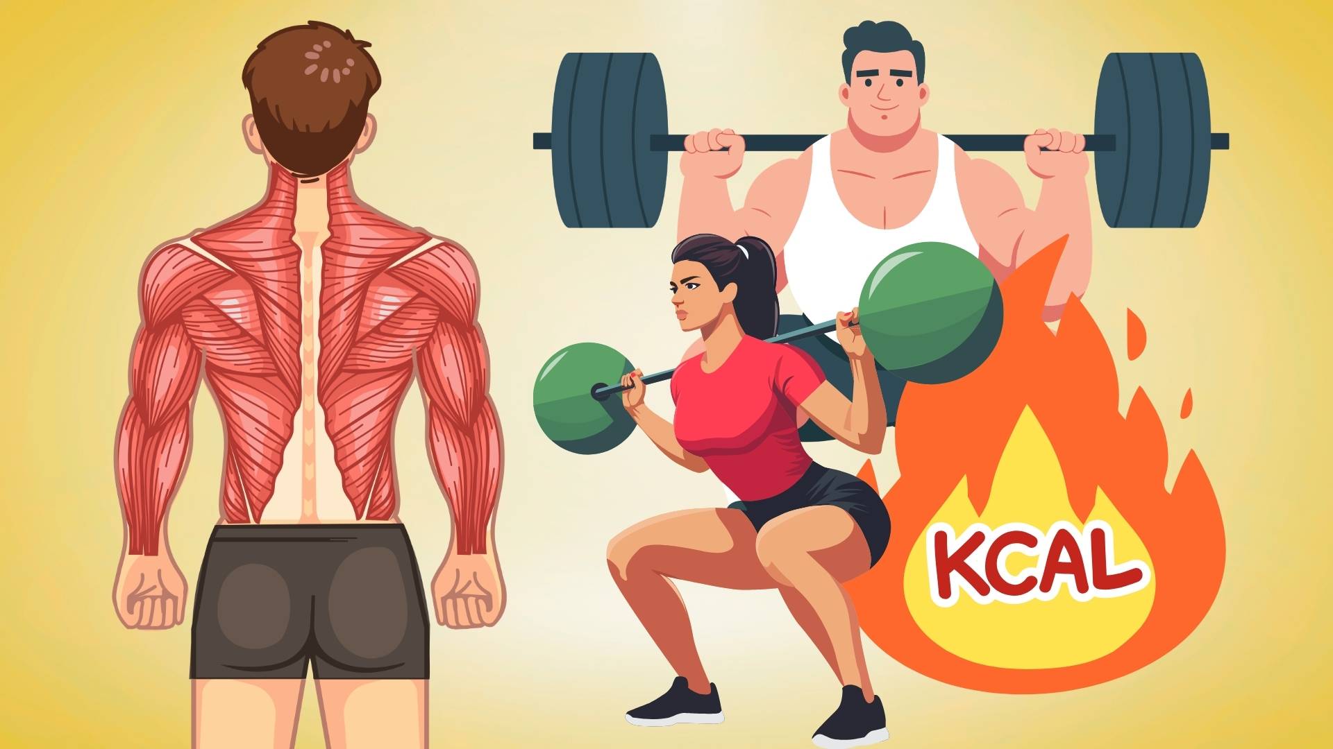 5 benefits of squat for health and daily exercise