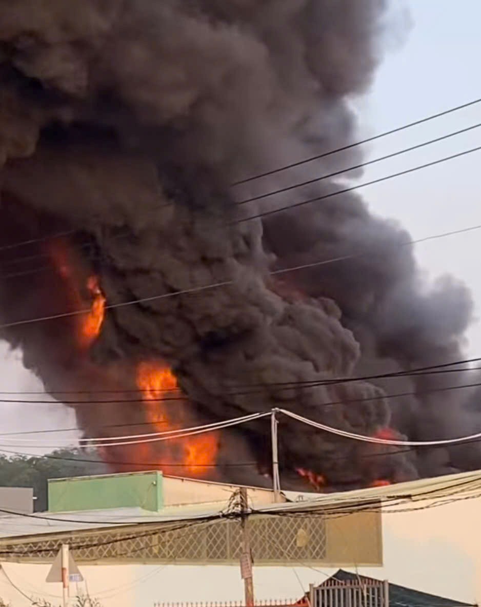 Cột khói từ vụ cháy nhà xưởng. Ảnh: Đình Trọng