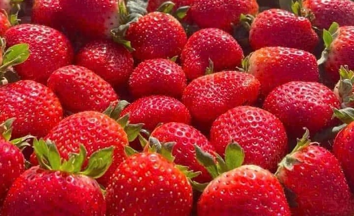 To have beautiful skin, supplementing with fruits, including strawberries, is very important. Photo: Kieu Vu