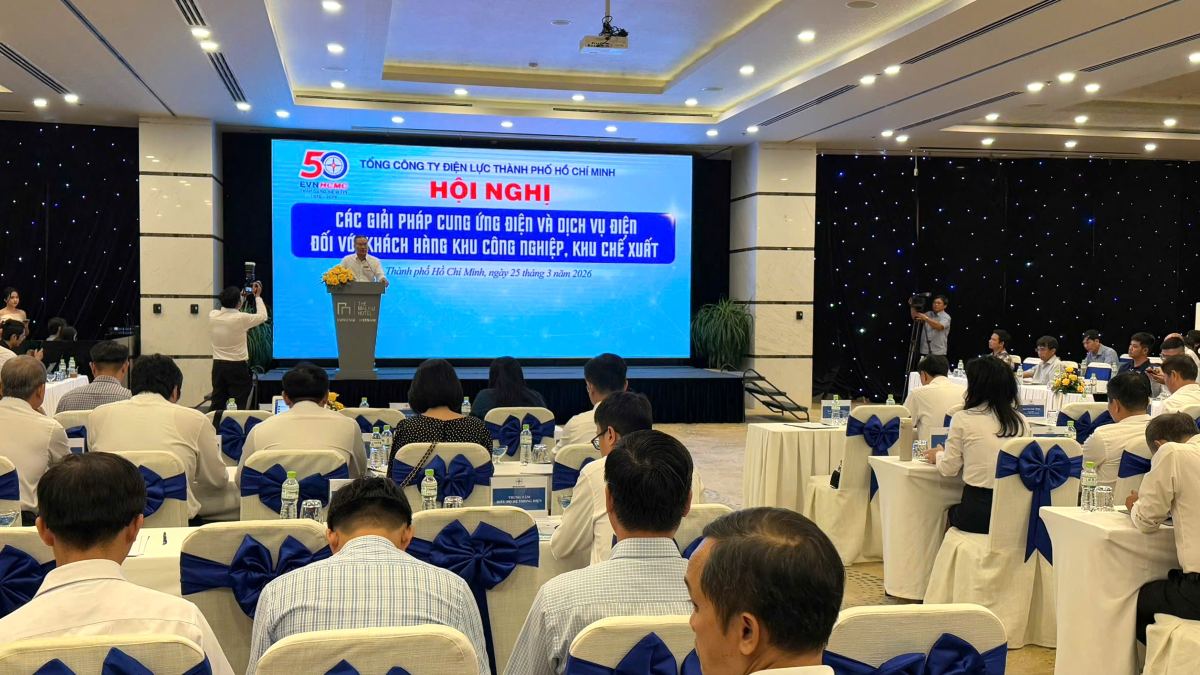 Ho Chi Minh City Electricity organizes conference on solutions for electricity supply and electricity services in the Eastern region. Photo: Thanh An