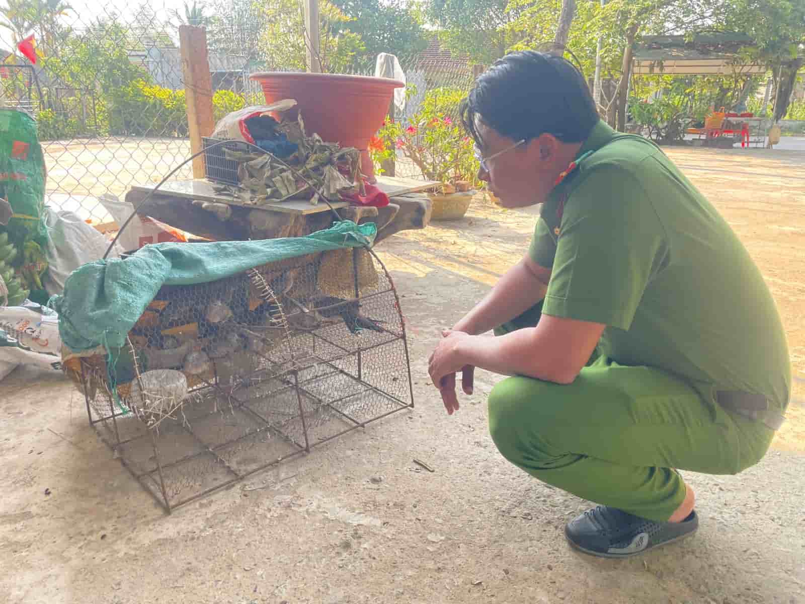 Ngoài phạt tiền, cơ quan chức năng sẽ tịch thu số động vật hoang dã để tái thả về tự nhiên. Ảnh: Công an 