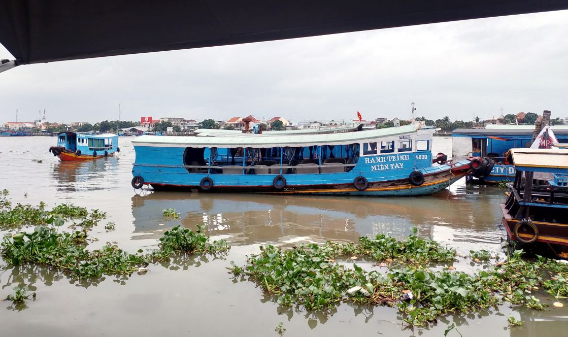 Theo dự báo, hạn mặn năm 2026 ở Đồng Tháp không quá hay gắt. Ảnh: Thanh Mai