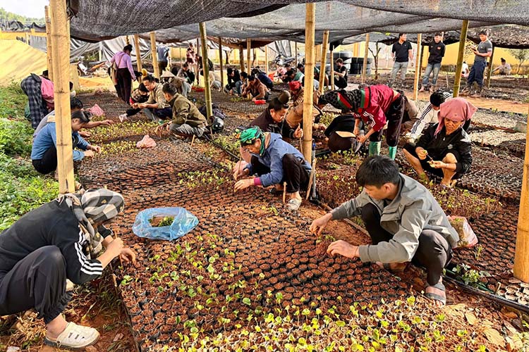 Ảnh: Xã Chiềng Sinh