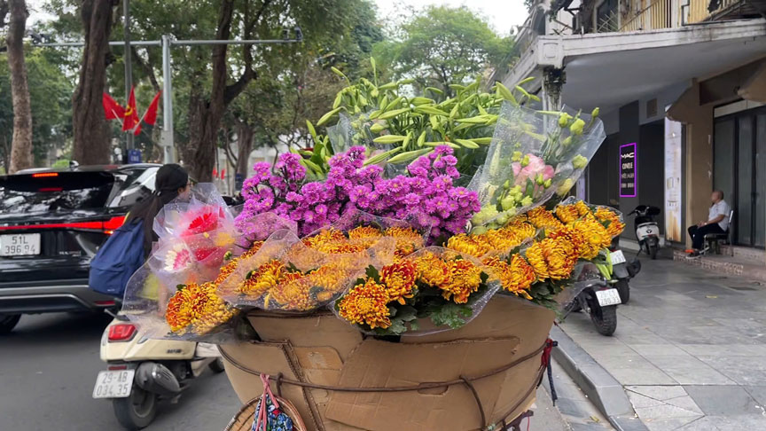 Không quá rực rõ, hoa loa kèn mang nét đẹp dịu dàng với màu trắng tinh khôi, báo hiệu mùa hè sắp về với Hà Nội. Ảnh: Hân Nghiên