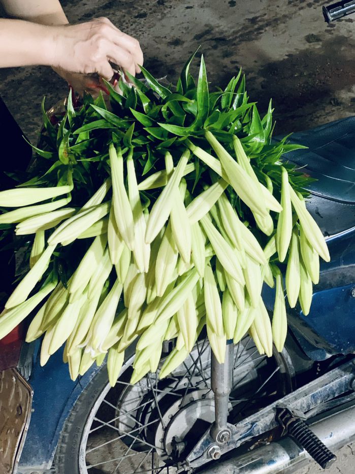 Lilies. Photo: Ky Lam