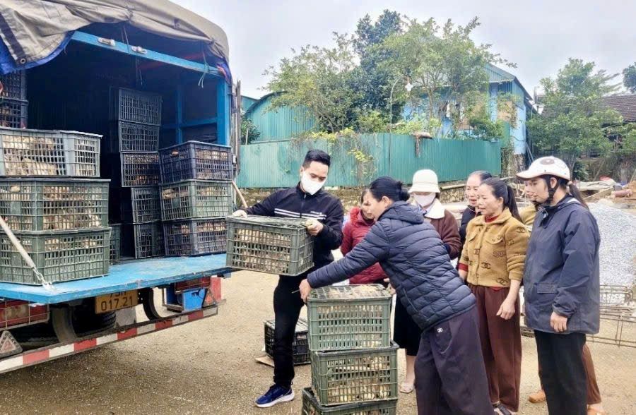 Farmers' association members of Tuyen Lam commune are supported with livestock breeds, effectively developing the family economy. Photo: Thanh Xuan
