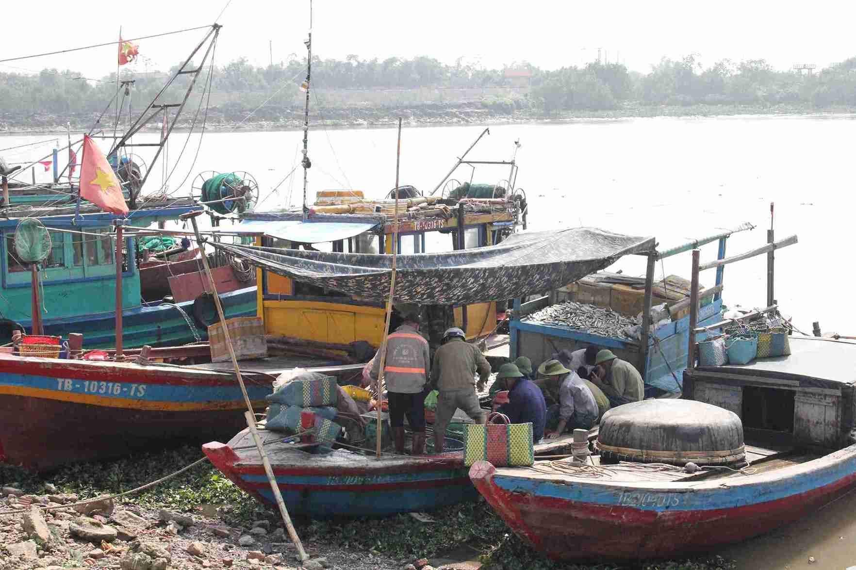 Bateaux de pêche amarrés dans la zone de la commune de Thái Thụy, province de Hưng Yên. Photo: Mai Hương