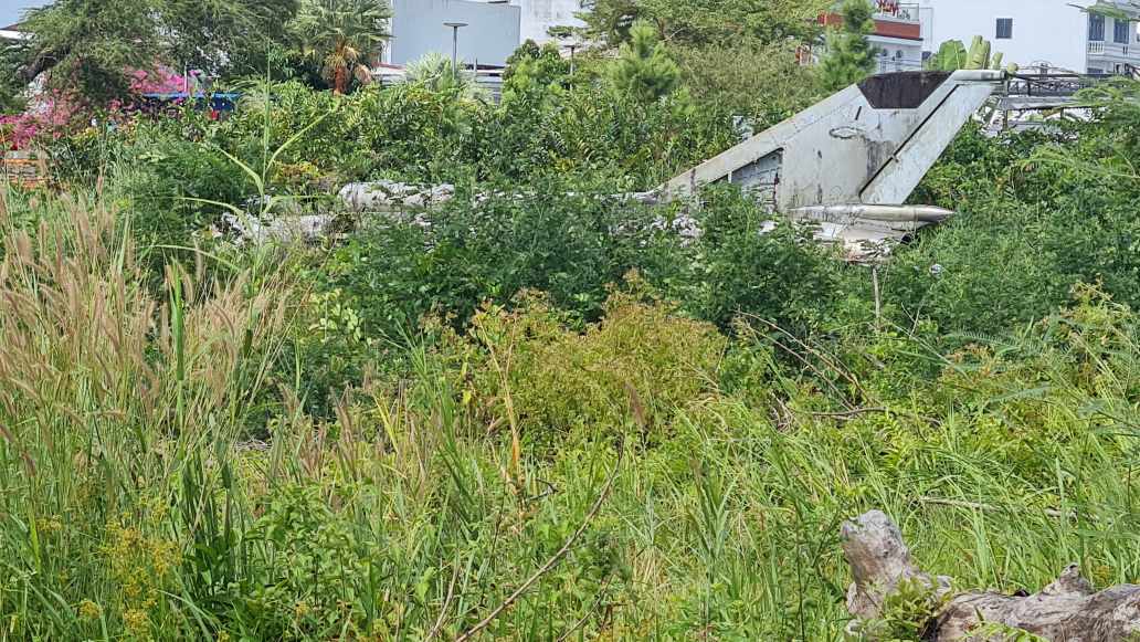 L'avion MiG-21 à Cà Mau, lorsqu'il a été découvert pour la première fois, était envahi par l'herbe, et se prépare maintenant à être déplacé vers un autre endroit. Photo: Nhật Hồ.
