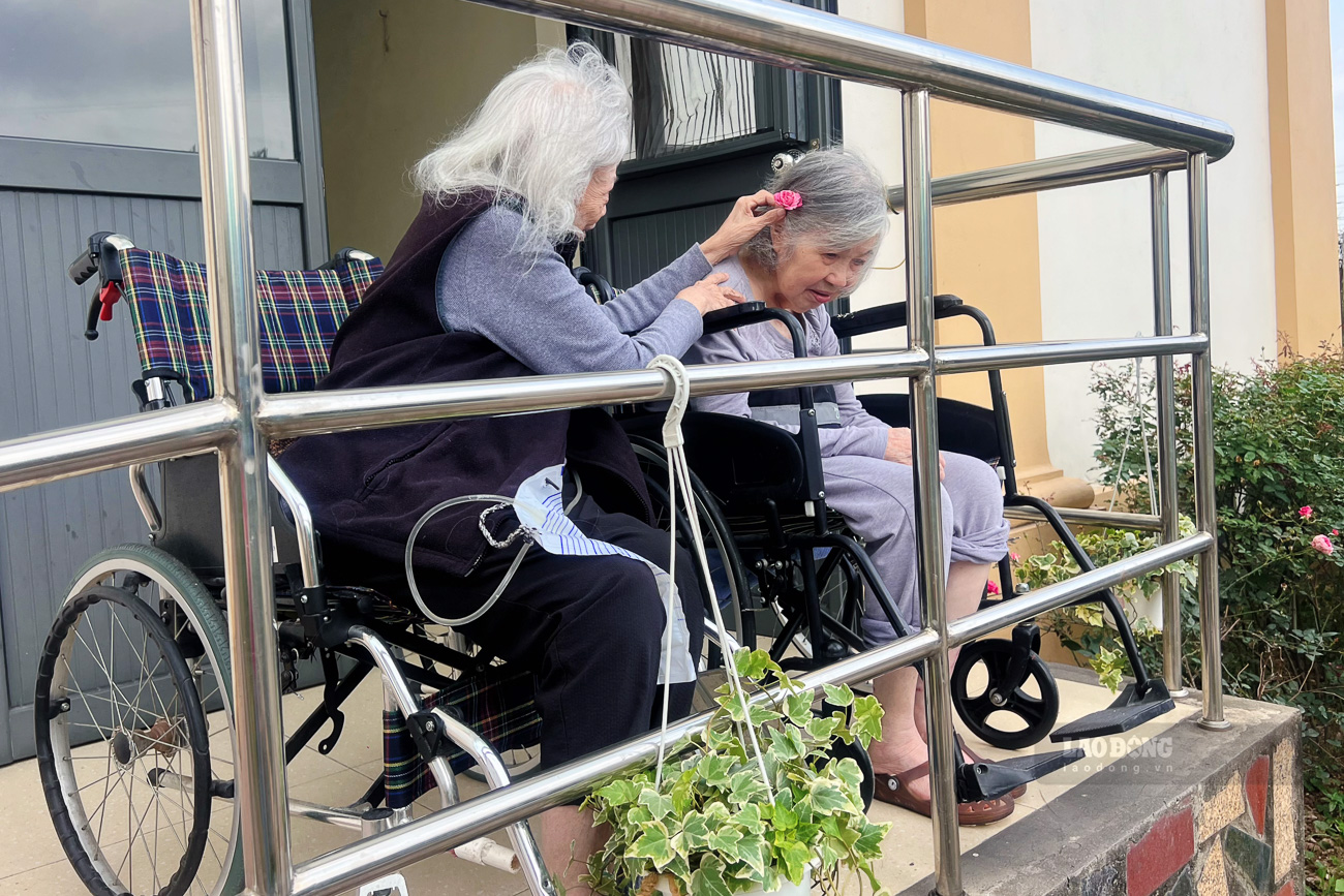 Những buổi trò chuyện giữa hai người bạn già thường xoay quanh ký ức, công việc và những chặng đường đã đi qua. 