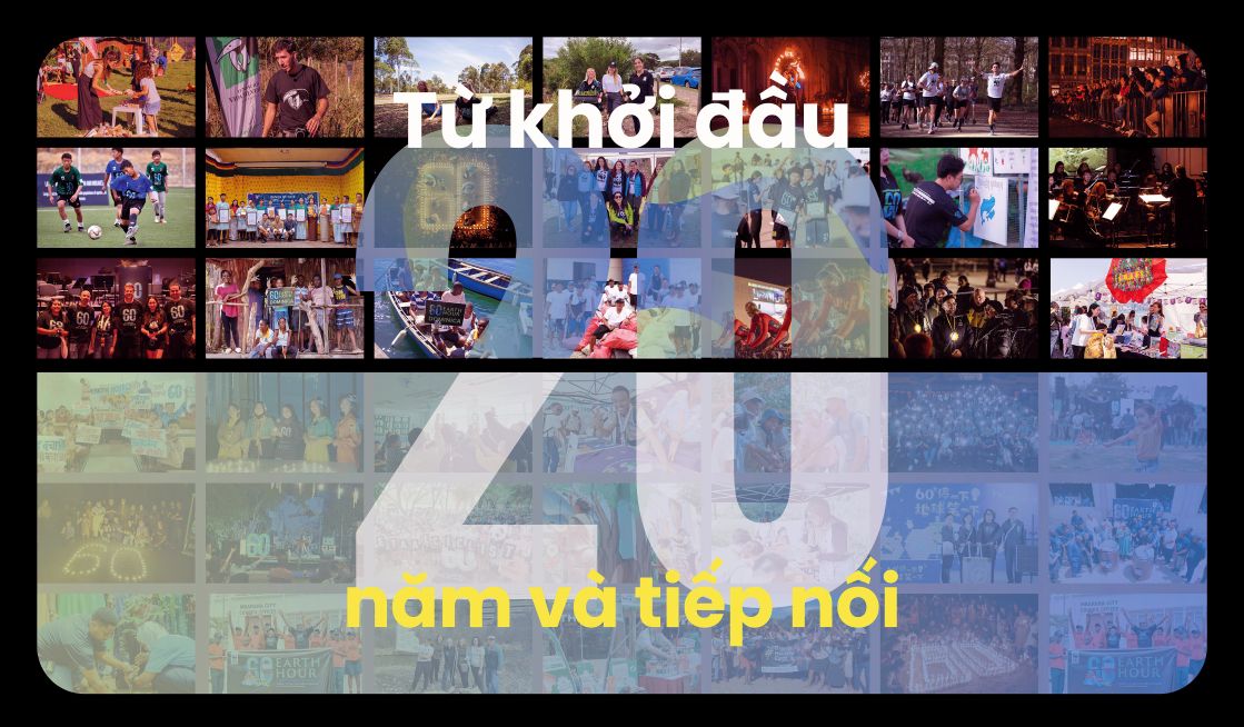 Key visual kỷ niệm 20 năm Giờ Trái đất. Ảnh: WWF-Việt Nam