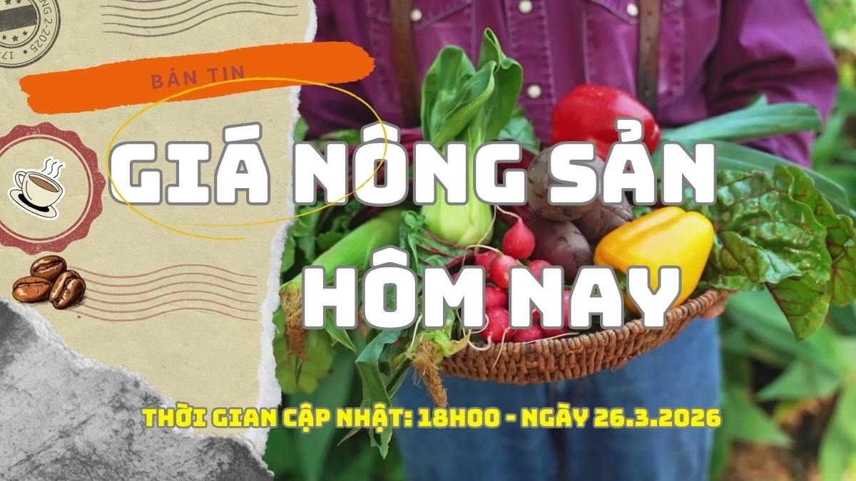 Agricultural product prices today March 26: Coffee turns down at the end of the day