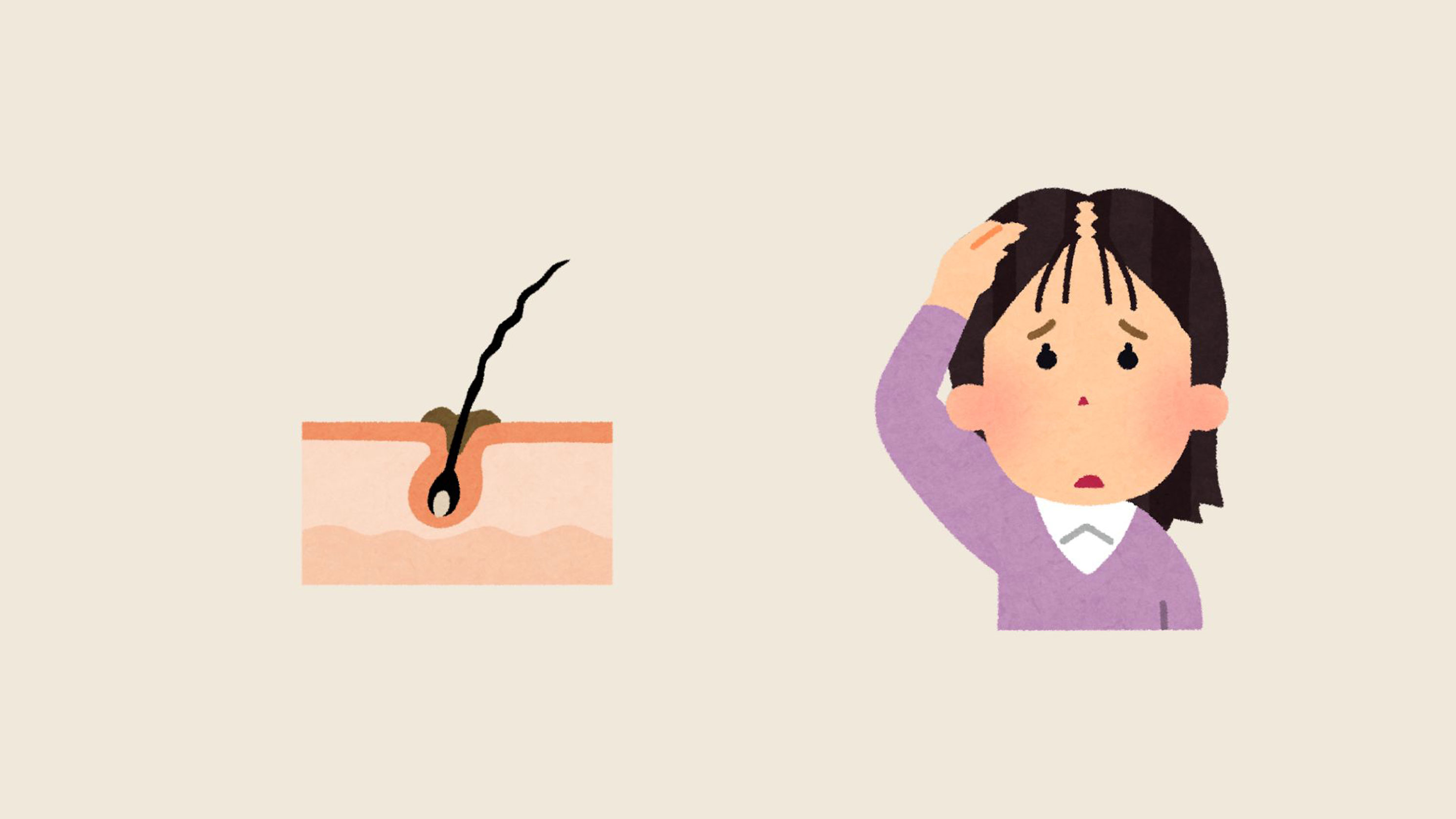 タンパク質不足の食事は、多くの人にとって抜け毛の原因となります.