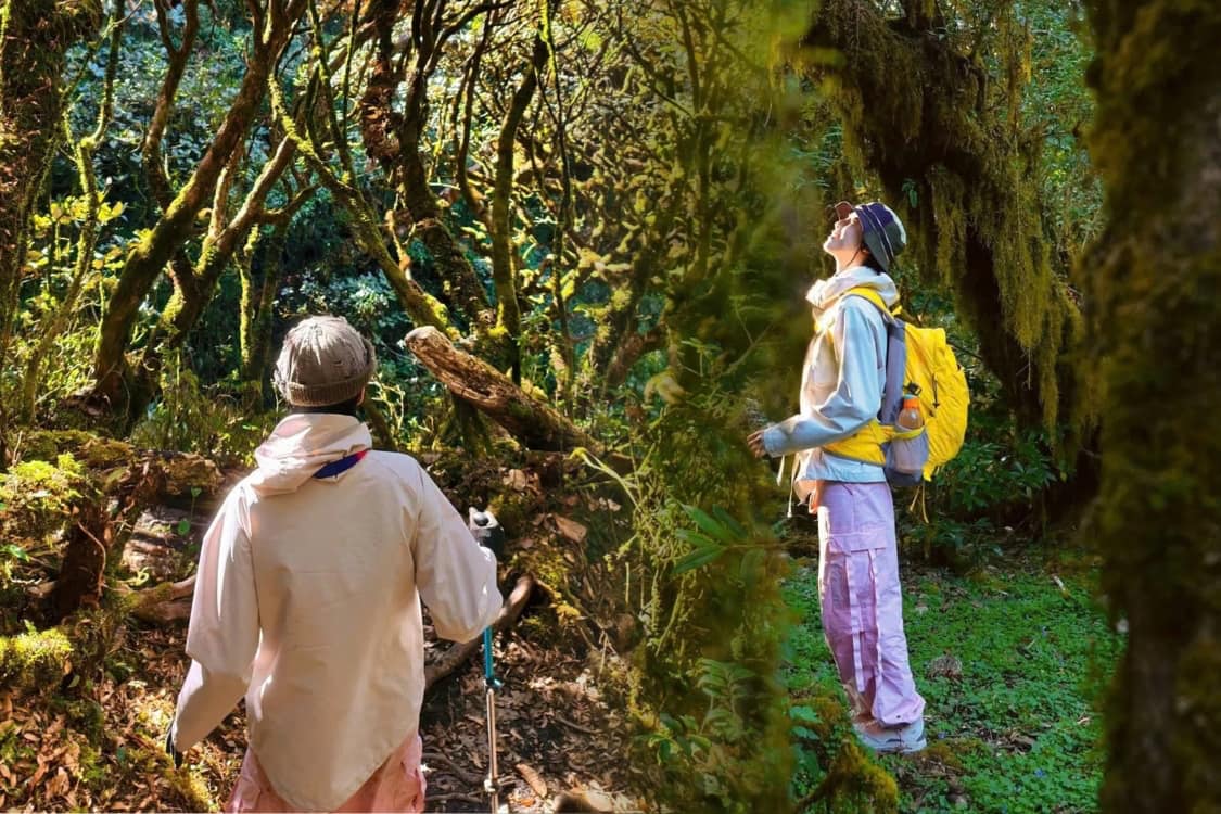 Trekking (long-distance hiking to explore nature) is becoming a trend chosen by many young people. Photo: Trang Anh