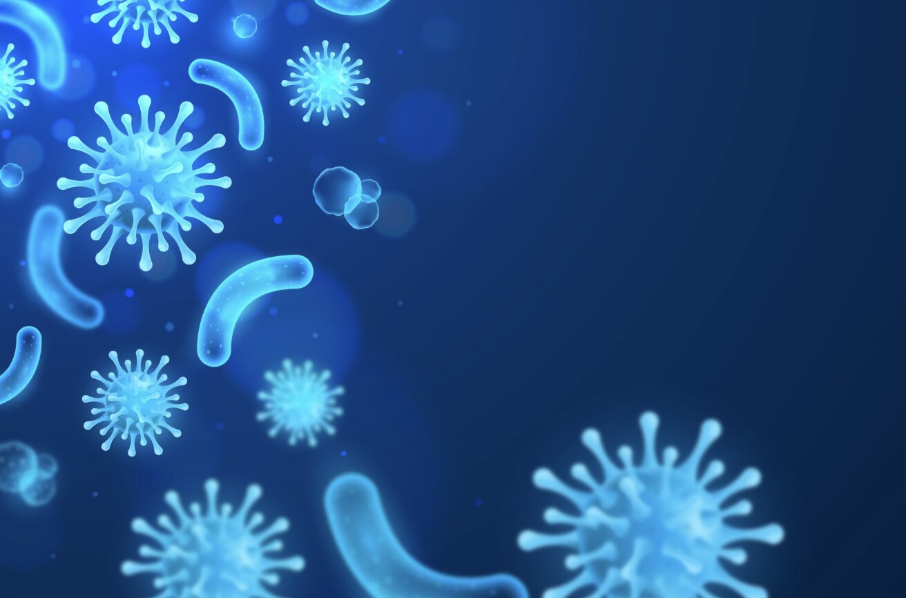 Los probióticos son buenos para la digestión, pero no todo el mundo sabe cuánto tiempo existen en el cuerpo y cómo desaparecen. Foto: Thuy Duong