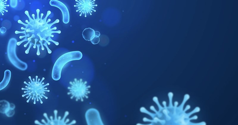 Probiotics tồn tại trong cơ thể bao lâu?
