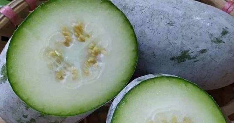 Công thức giải độc gan từ bí đao