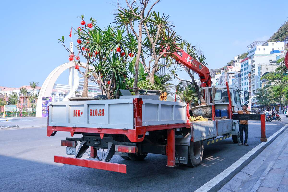 Lực lượng chức năng tập trung kiểm tra, xử lý nghiêm các trường hợp tự ý đặt cây cảnh, biển quảng cáo, bàn ghế kinh doanh, vật dụng cá nhân lấn chiếm vỉa hè, lòng đường. Ảnh: Xuân Thủy