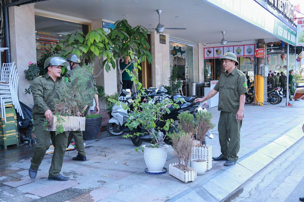 La Zona Económica Especial de Cat Hai ha lanzado simultáneamente medidas para restablecer el orden urbano en el área turística de Cat Ba. Foto: Xuan Thuy