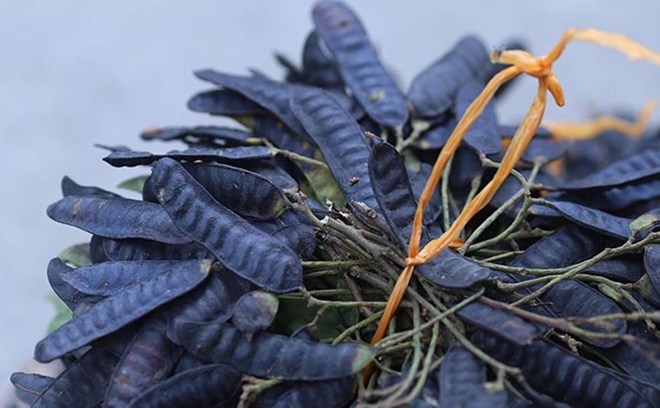 Bo Ket when combined with some herbs will help stimulate hair growth faster. Photo: Bich Nhung