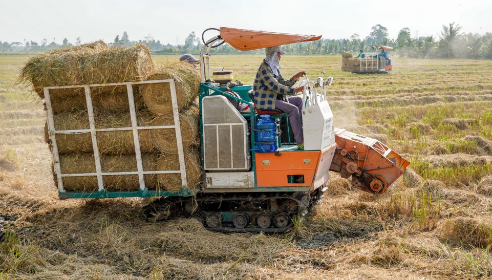 Rơm sau thu hoạch được cuộn gọn, tạo thêm nguồn thu cho nông dân. Ảnh: Phương Anh