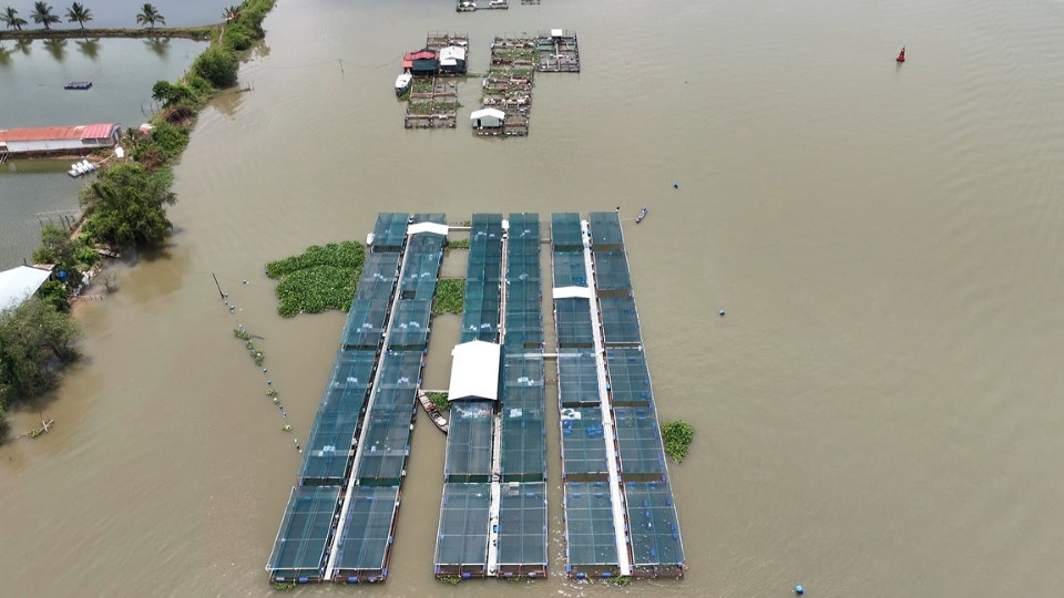 Lao động làm việc tại HTX Thủy sản Đồng Phú với công việc ổn định. Ảnh: Hoàng Lộc