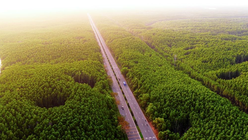 Cung đường chạy của VnExpress Marathon Green Paradise Cần Giờ trong lòng khu dự trữ sinh quyển thế giới được UNESCO công nhận